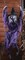 The Costume Center 60" Purple and Black Witch Swinging Dead Halloween Doll